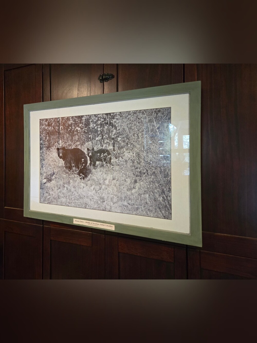 Mama Bear & Cub Wildlife Photography 39x27 Framed Rustic Cabin Wall Art